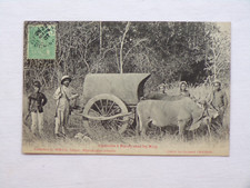 Charrette à bœufs chez les Moïs - Indochine - Carte postale ancienne