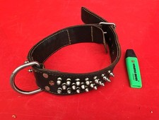 COLLIER CLOUTÉ Ancien marqué MUSCAT pour chien en cuir épais