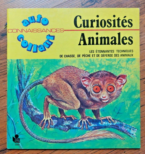 Album éducatif lito dallet - album,