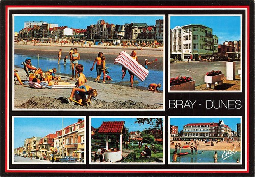 Bray dunes plage - dunes,