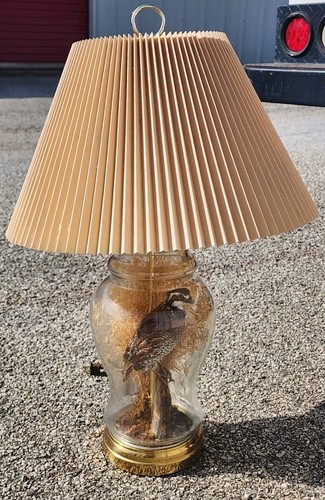 Wildlife collections vintage - collections,
