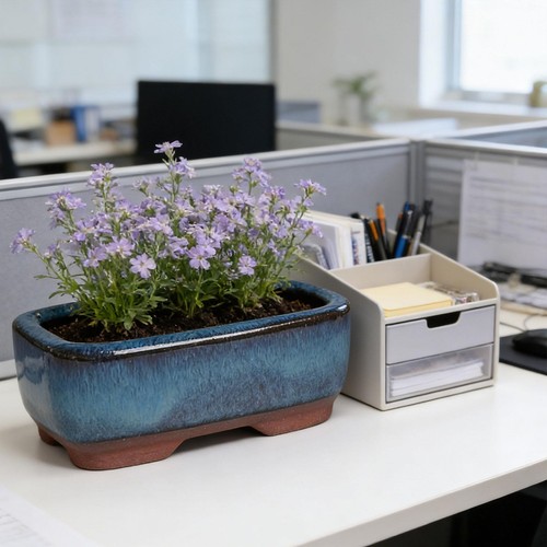 Mini pot fleurs décoratif - fleurs,