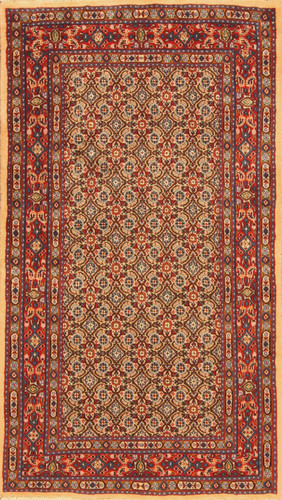 Tapis oriental authentique - tapis,