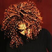 The Velvet Rope by Janet Jackson CD. Very Good & Free Shipping! 