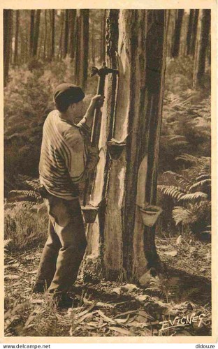Carte postale ancienne - ancienne, 40
