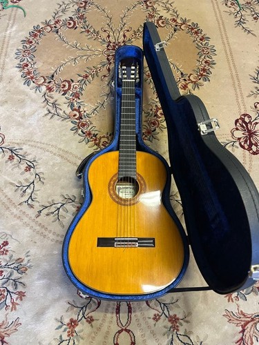 étui rigide pour guitare - Étui,