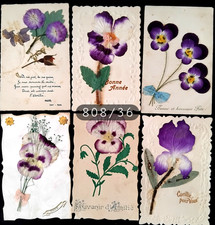 N° 808/36 -Lot de 6 Cpa