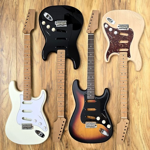 Guitare électrique diy double - guitare,