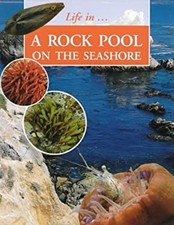 Rock Piscine sur Le Littoral Couverture Rigide Sally Morgan