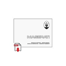 Manuale di Officina / Service