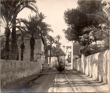 Liban, un attelage d'ânes Vintage print,  Tirage argentique  10X15  C