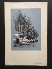 Air France : Menu vol