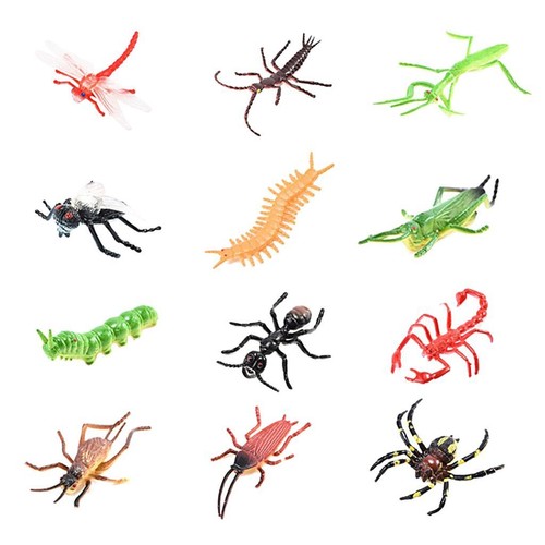Insectes réalistes animaux - insectes, réalistes,