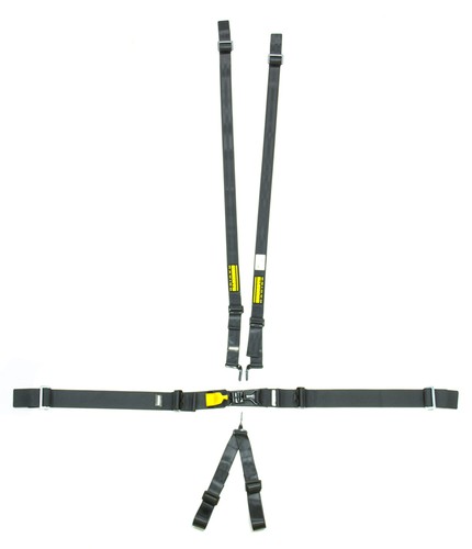 Schroth racing 6pt harness - racing,