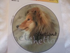 1 autocollant - motif chien  SHETLAND 