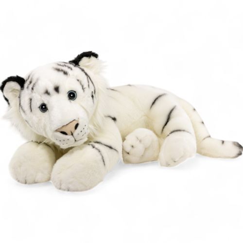 Tigre blanc couché environ - , 60