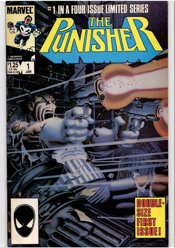Punisher mini serie 5 - punisher,