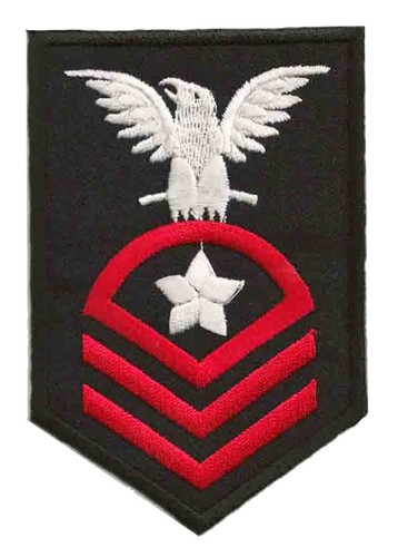 Patche écusson army insigne - army,