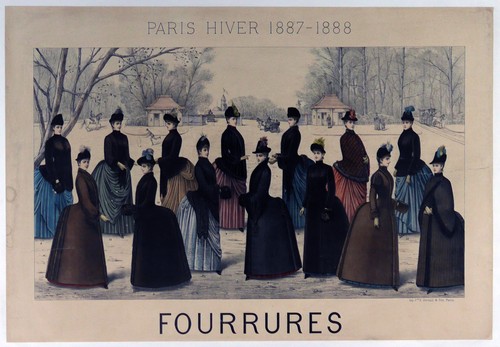 Affiche entoilée fourrures - entoilée,