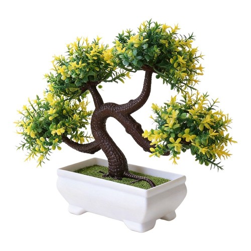 Pour salon fausse - salon, plantes