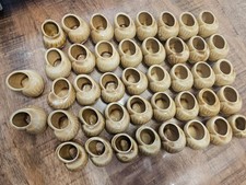 42 coquilles d'escargots en