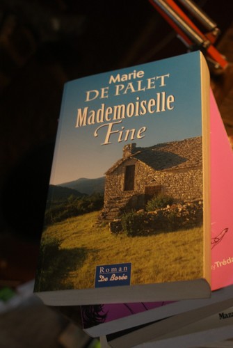 Mademoiselle fine marie de - fine,,