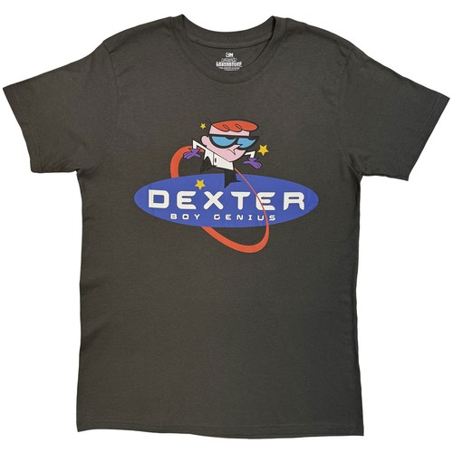 Dexters laboratory boy genius - laboratory,