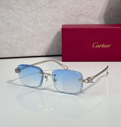 Cartier décor panthère rare - décor,