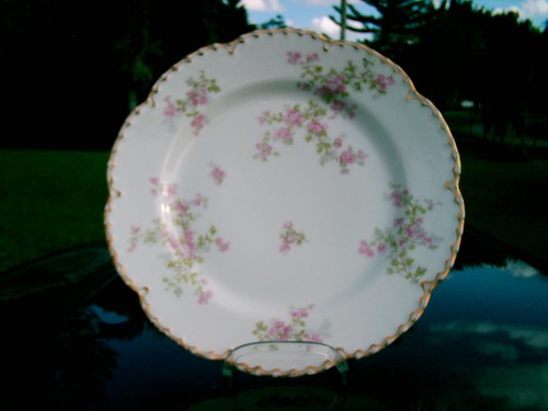 Haviland china apple blossom - china,