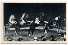LE CIRQUE et ses thémes RADIO CIRCUS 4 chevaux dressés par al. GRUSS pyramide