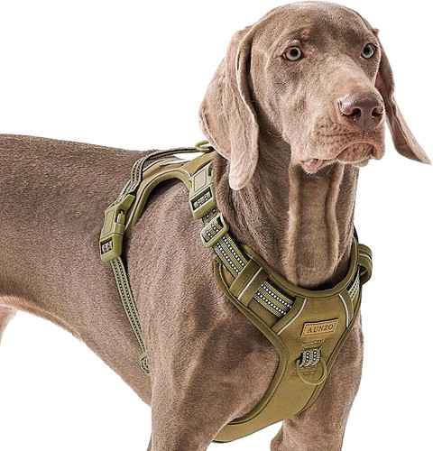 Large dog harness no - x-large,