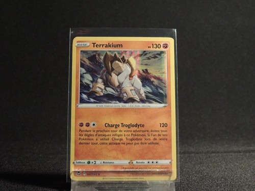 Carte pokémon terrakium - carte,