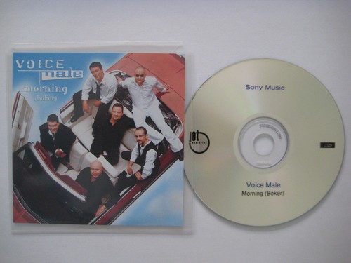 Voice male morning - morning, (