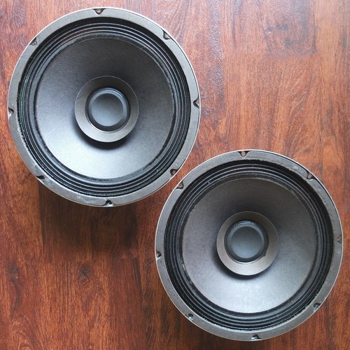 Vintage pair full - 10", full-range