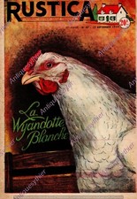 LA WYANDOTTE BLANCHE POULE /