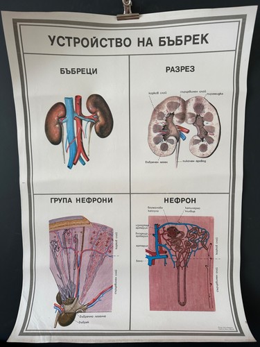 Tableau mural affiche vintage