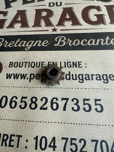 Nos pignon dents - nos,
