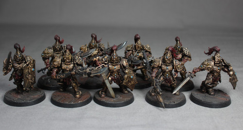Adeptus custodes guardians - 9,