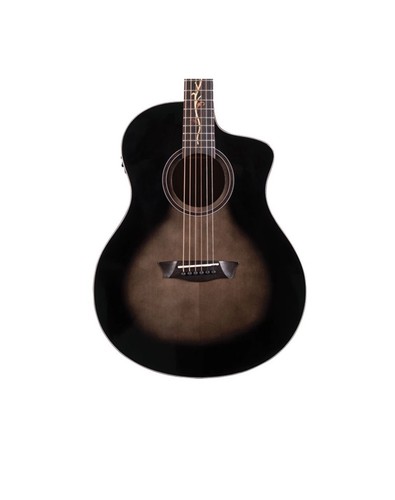 Washburn string - 6,