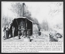 2004  -  AISNE CHAILLE LE BOTH