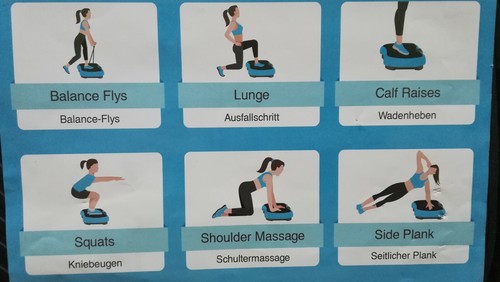 Plaque vibrante fitness - plaque,