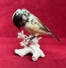 Karl ens vogel meise meisen - karl,
