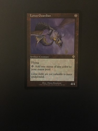 Magic the gathering - the, mtg