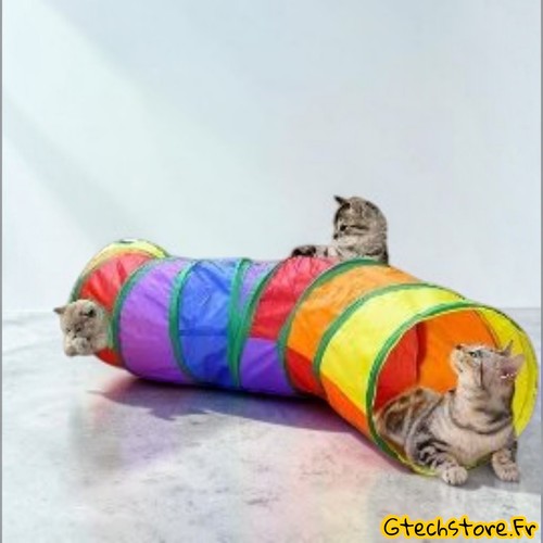 Tunnel pliable chat chaton - pliable,