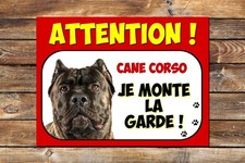 Plaque attention au chien Cane