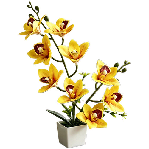 Orchidée cymbidium réaliste - cymbidium,