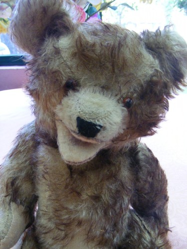 Sandro ours ancien - , bouche