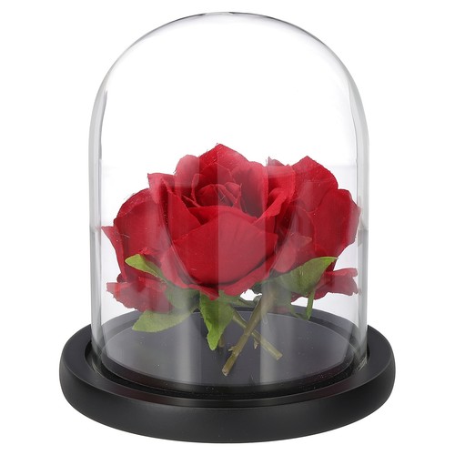 Dôme verre pour cloche - dôme, en