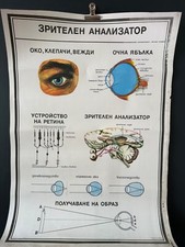 Tableau mural affiche vintage