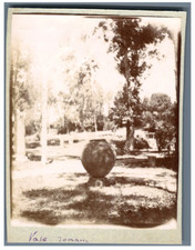 Algérie, Tipaza (تيبازة), Vase romain  Vintage citrate print. Tirage citrate 